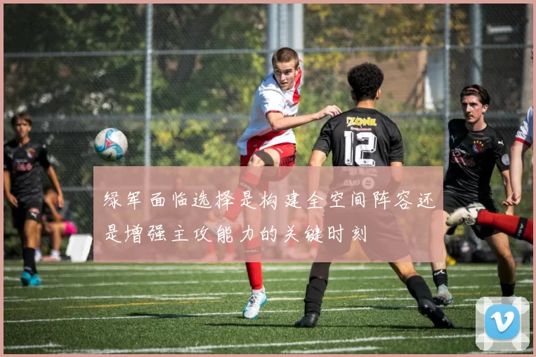 绿军面临选择是构建全空间阵容还是增强主攻能力的关键时刻